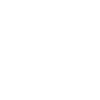 Expert Tutor Assistance